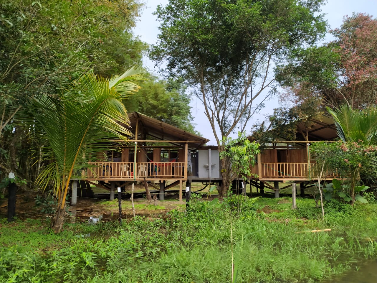 Hospedaje en Cabañas Rio La Miel ☎️ Paraíso Ecológico Hospedaje en Cabañas Rio La Miel ☎️ Paraíso Ecológico